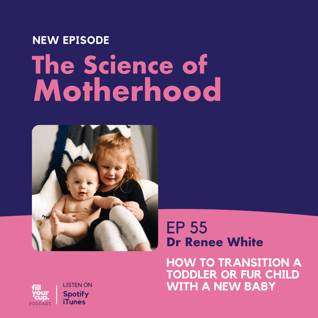Ep 55. Check In Tuesday - How To Transition a Toddler or Fur Child with a New Baby