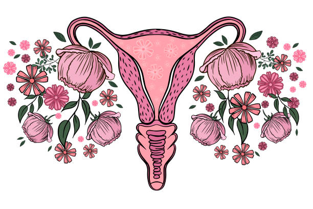This Research Could Help Over 175 Million Women