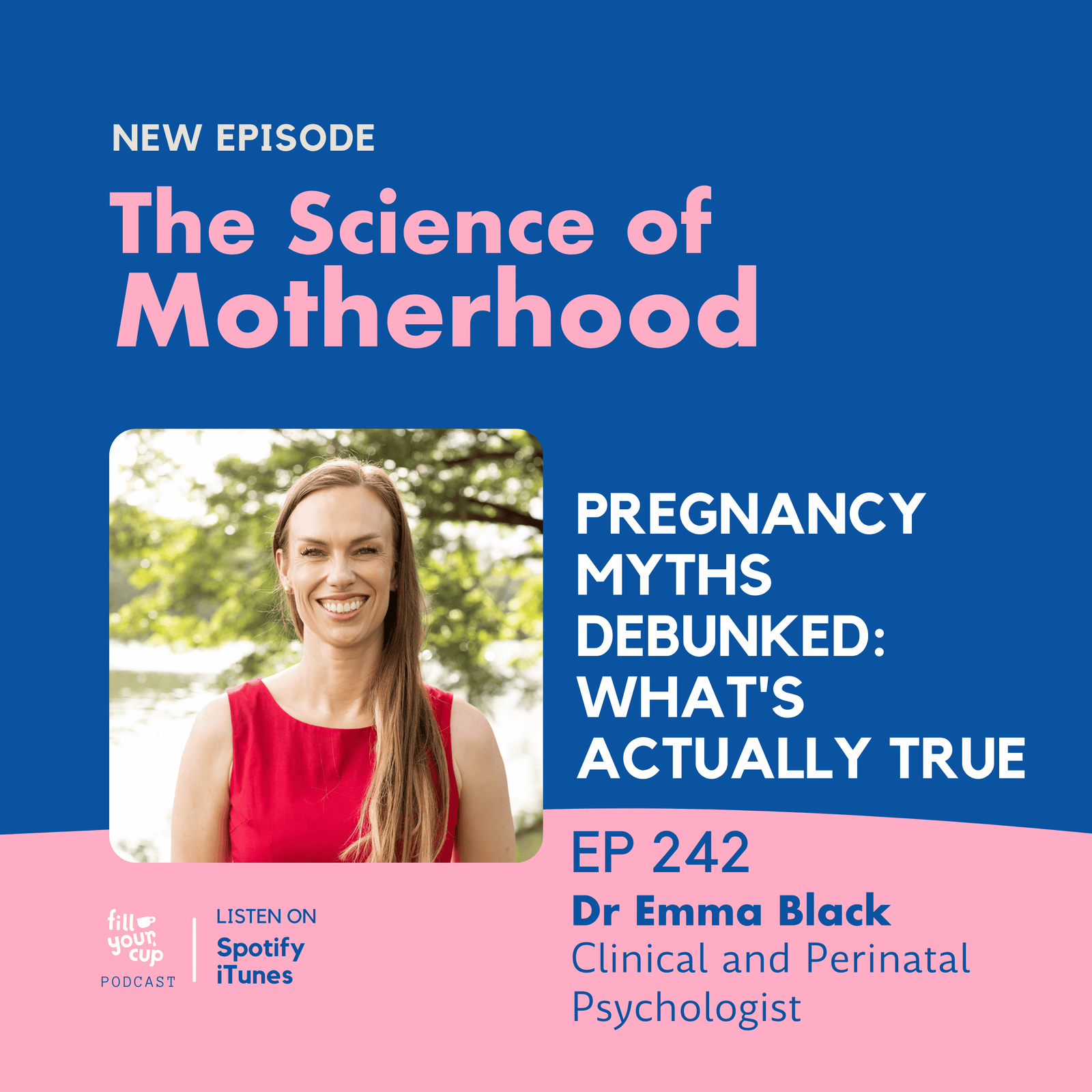 Ep 242. Pregnancy Myths Debunked: What's Actually True