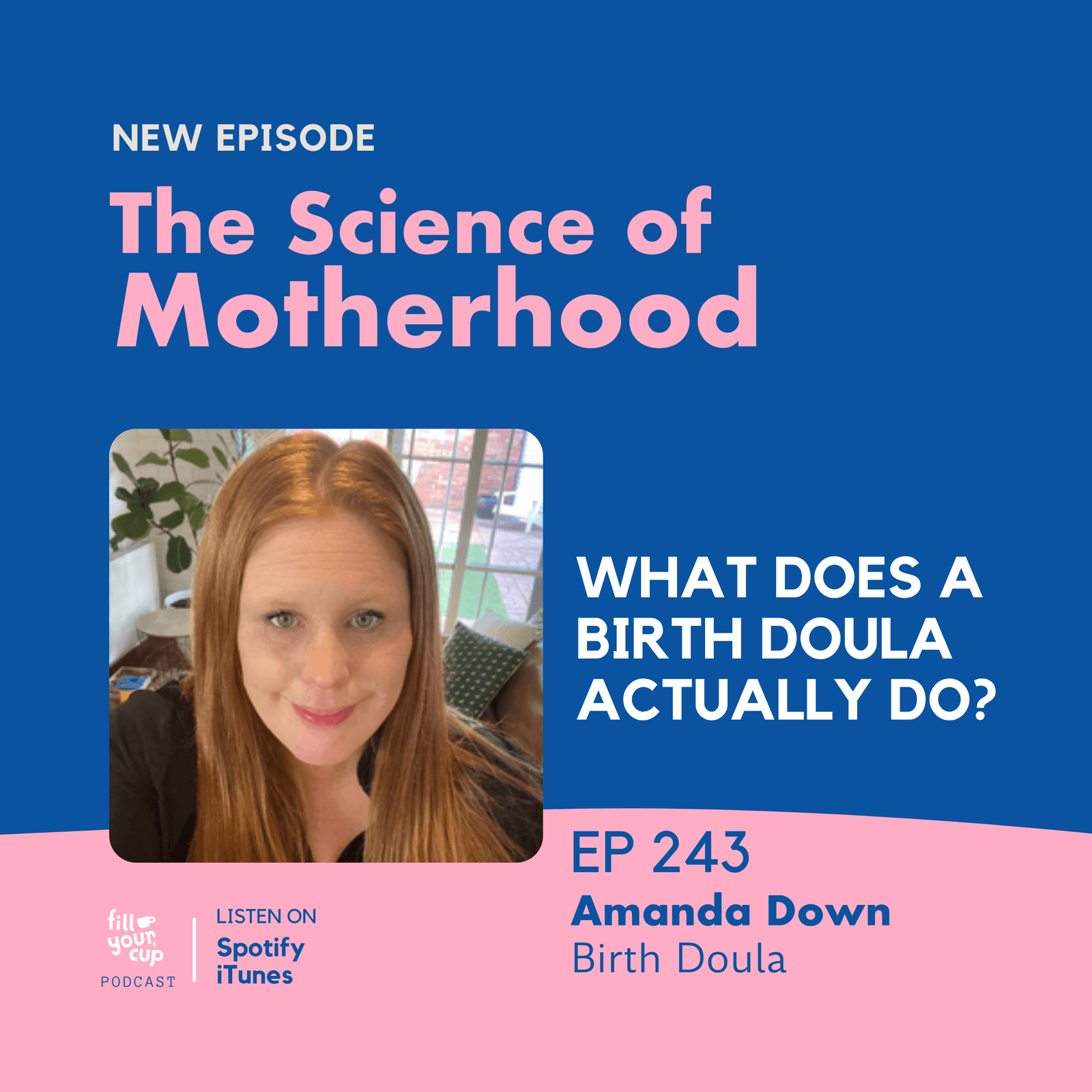 Ep 243. What Does a Birth Doula Actually Do?