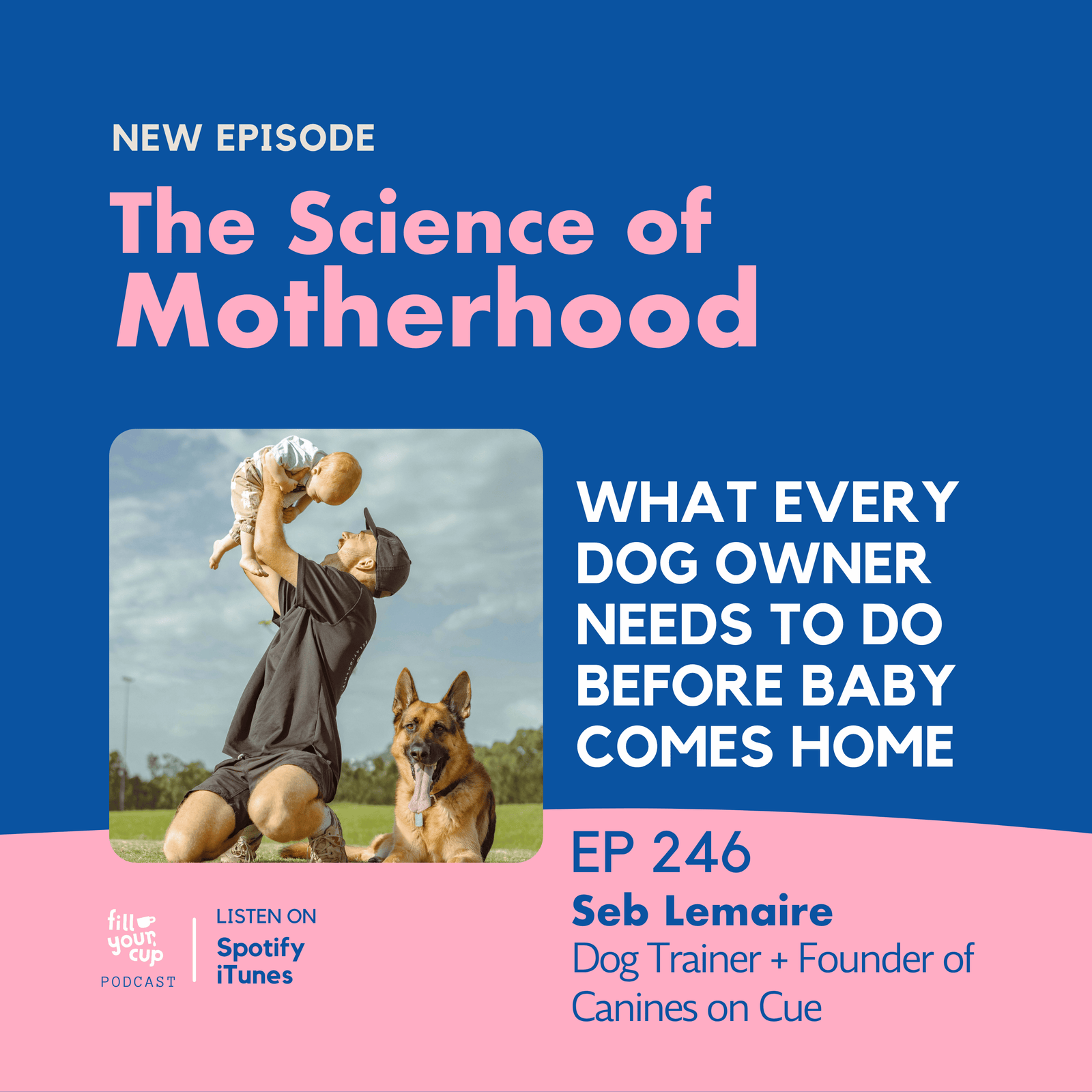 Ep 246. What Every Dog Owner Needs to Do Before Baby Comes Home
