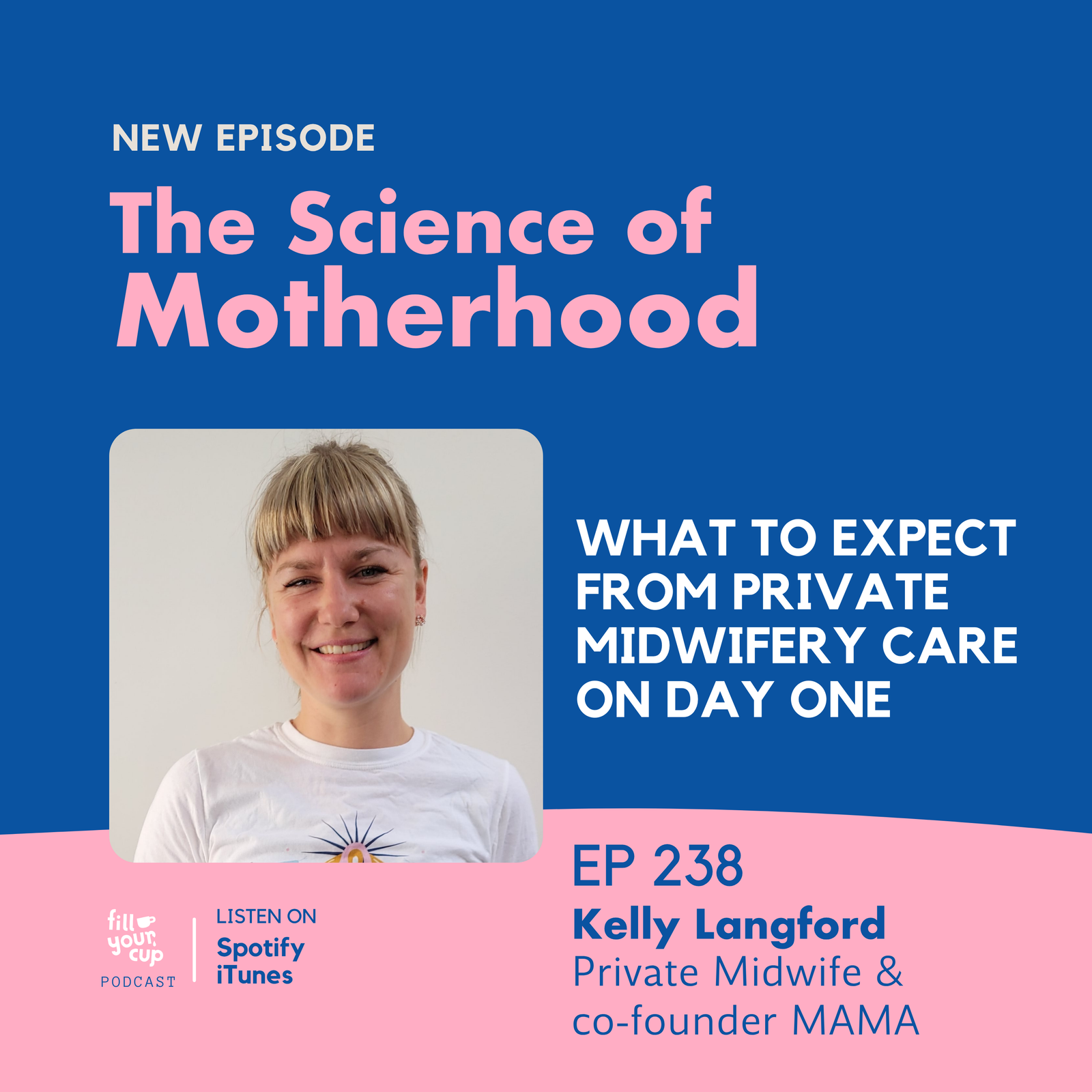 Ep 238. What to Expect From Private Midwifery Care on Day One