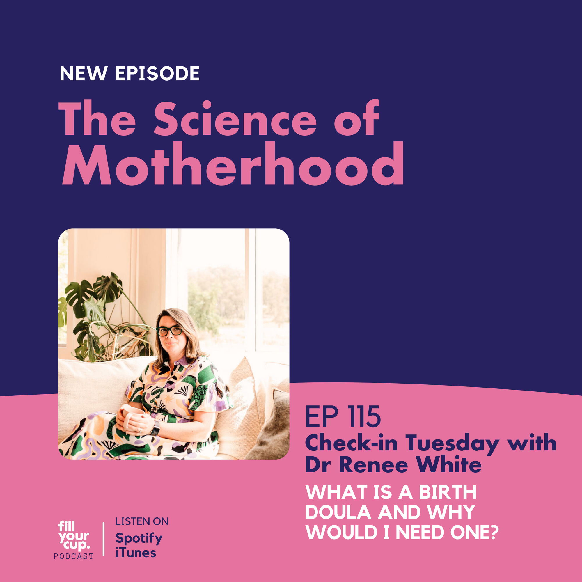 Ep 115. Check In Tuesday with Dr Renee White - What is a Birth Doula and Why Would I Need One?
