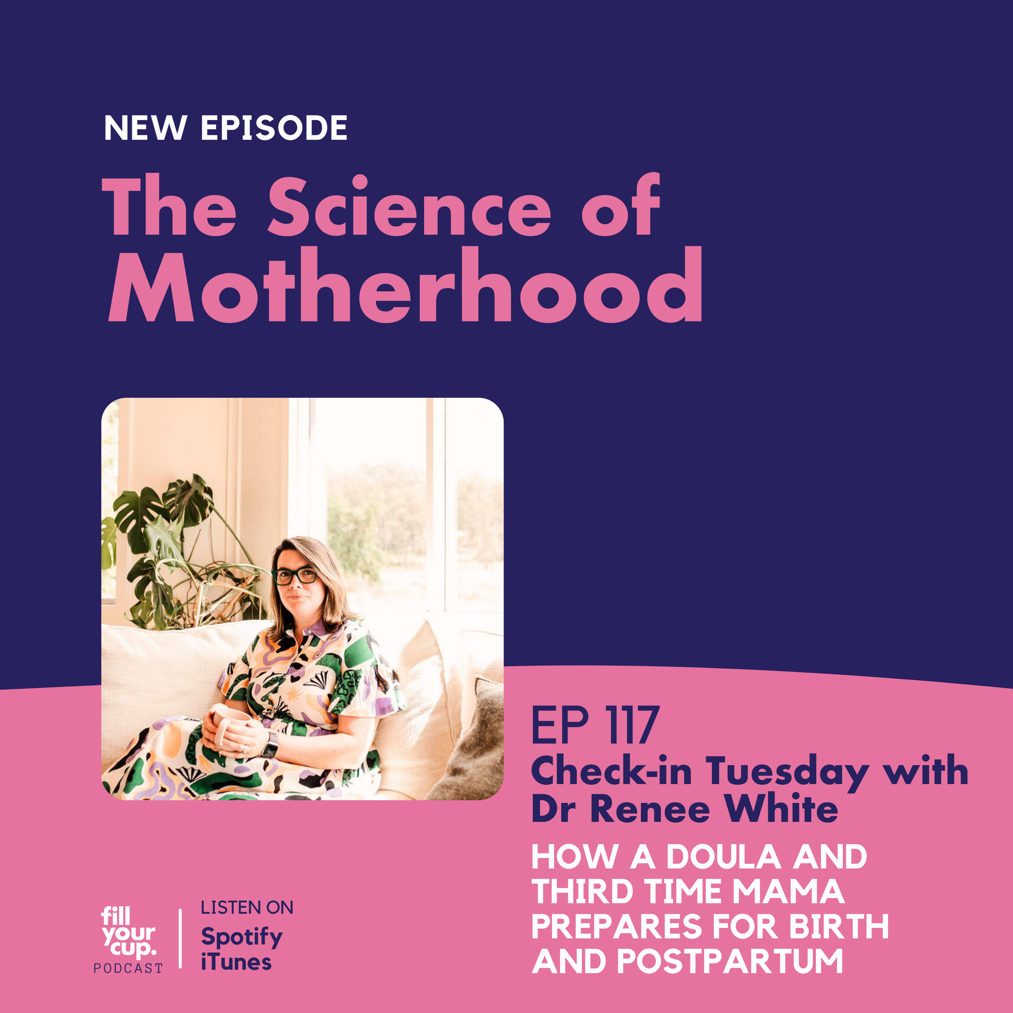 Ep 117. Check In Tuesday with Dr Renee White - How a Doula and Third Time Mama Prepares for Birth and Postpartum