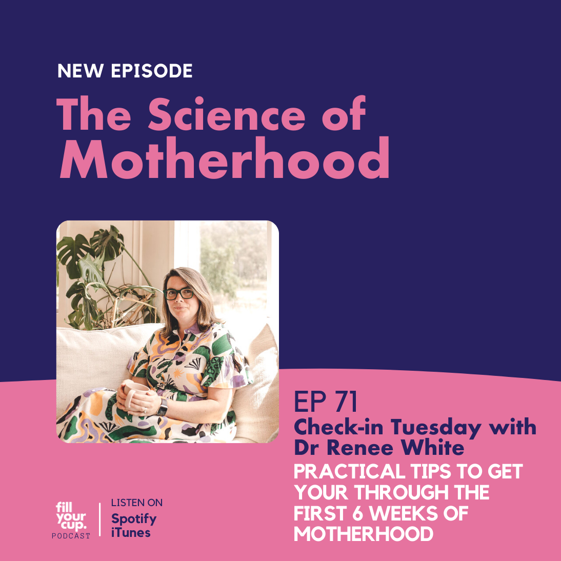 Ep 71. Check In Tuesday with Dr Renee White - Practical Tips to Get You Through the First 6 weeks of Motherhood