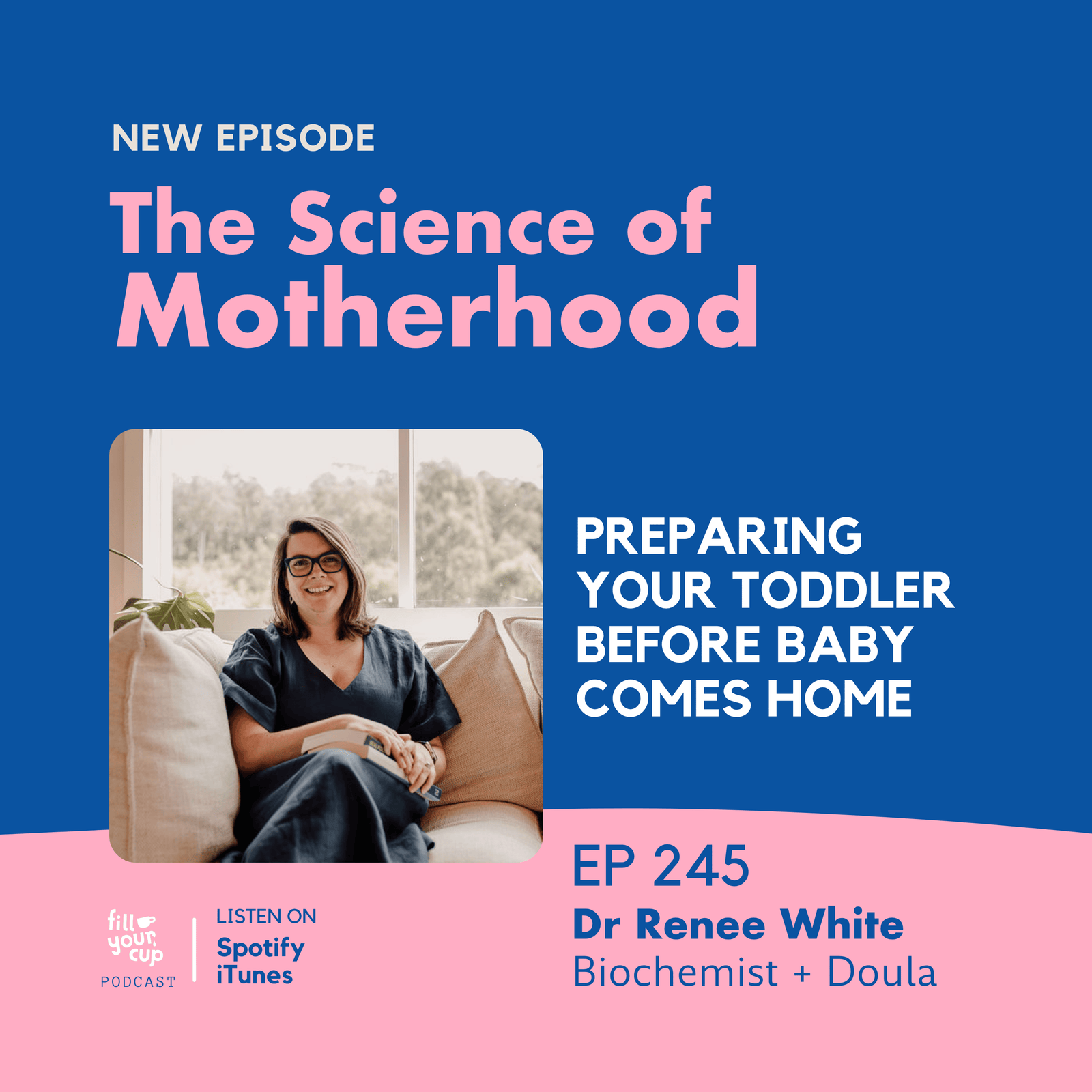 Ep 245. Preparing Your Toddler Before Baby Comes Home