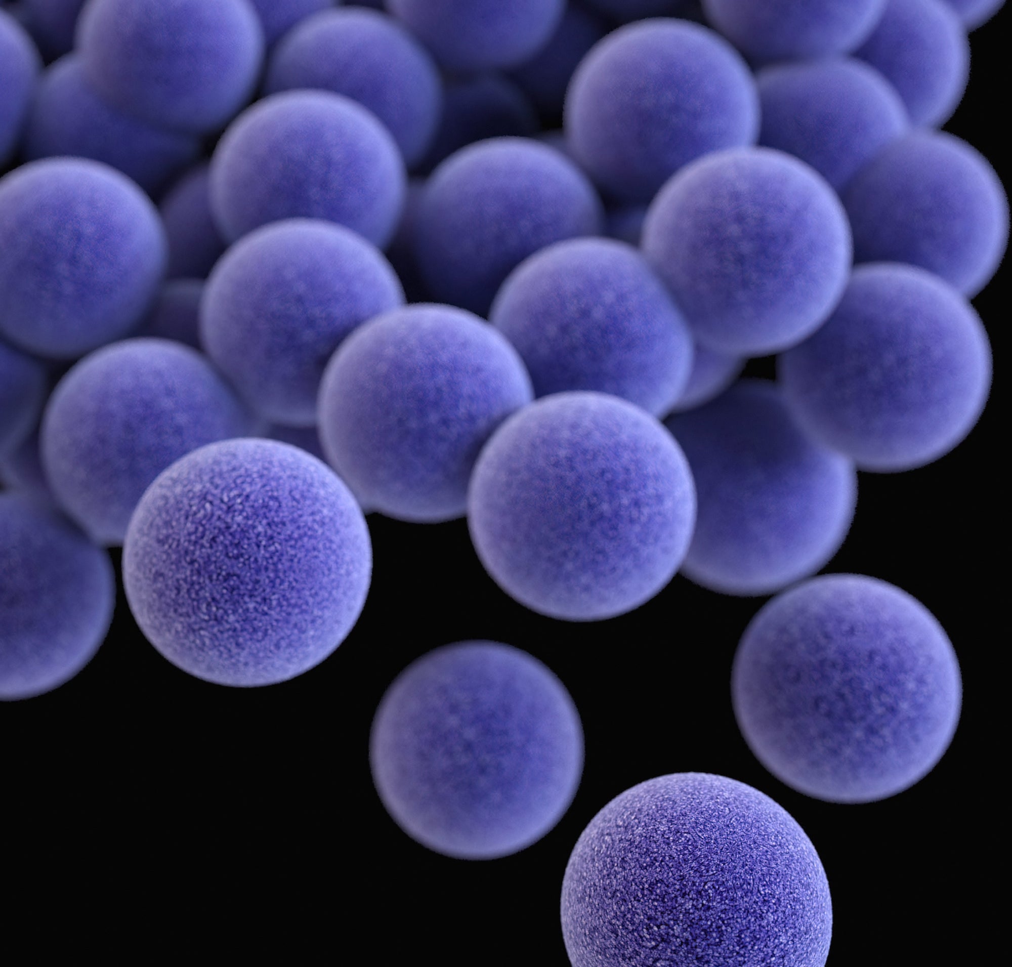 The Science Behind Qiara Probiotics